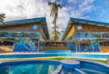 Conheça o Museu da Vida Marinha de Ubatuba – SP