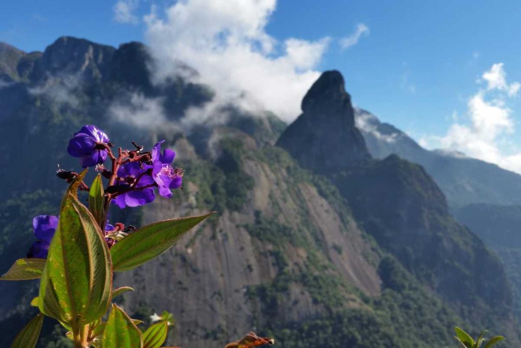 Conheça o Parque Nacional da Serra dos Órgãos 1 Parque Nacional da Serra dos Órgãos — PARNASO